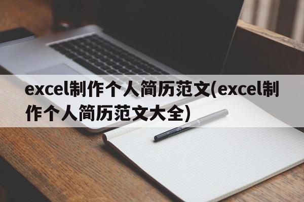 excel制作个人简历范文(excel制作个人简历范文大全)