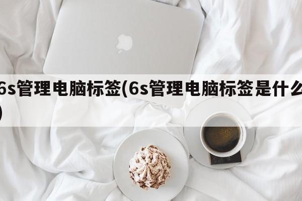 6s管理电脑标签(6s管理电脑标签是什么)