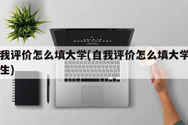 自我评价怎么填大学(自我评价怎么填大学毕业生)